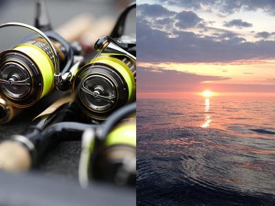 Daiwa Scandinavia coming soon