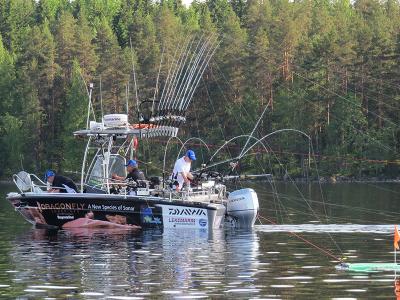 Daiwa Scandinavia coming soon