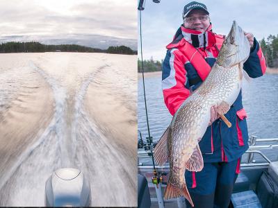 Daiwa Scandinavia coming soon