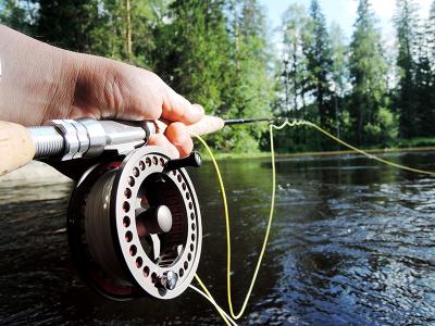 Daiwa Scandinavia coming soon