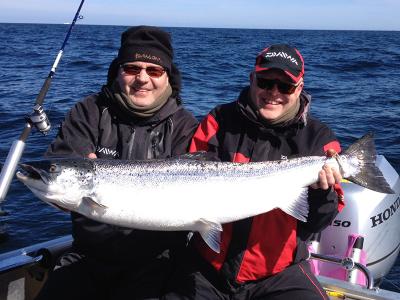 Daiwa Scandinavia coming soon